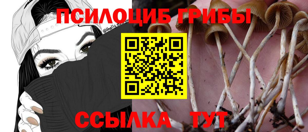 Галлюциногенные грибы Magic Shrooms  цены наркотик  Знаменск  Вход с VPN 